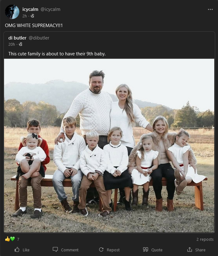 Screenshot 2023-01-25 at 03-44-11 icycalm (@icycalm) • gab.com.png